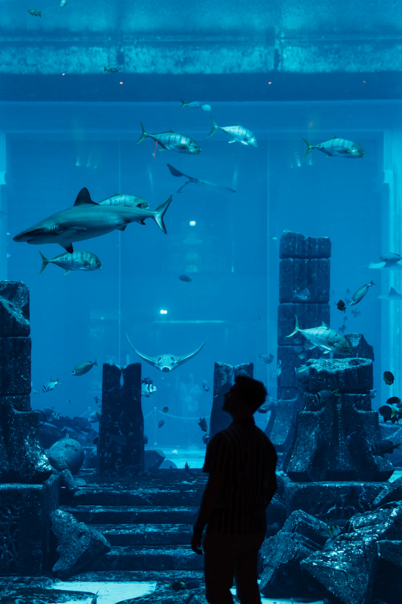 Dubai-Aquarium-Guide